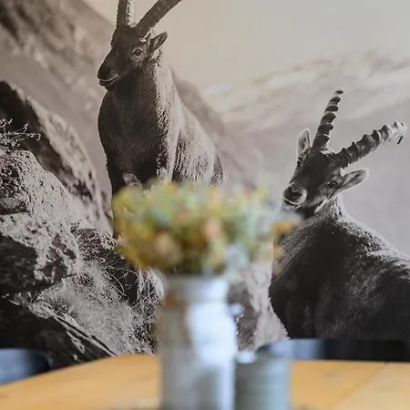 Dovski Razgled Appartamento